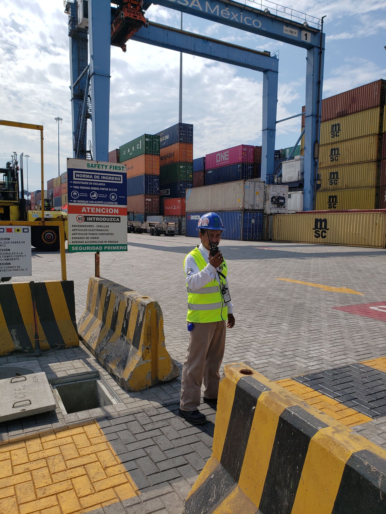 Galería Consorcio Seed